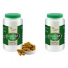 VITAIDEAL Vegan® Turmeric Root (Curcuma) 2 x 360 Vegetable Capsules