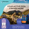 Dog Electrolytes and Joint Supplement | Glucosamine, Chondroitin & MSM