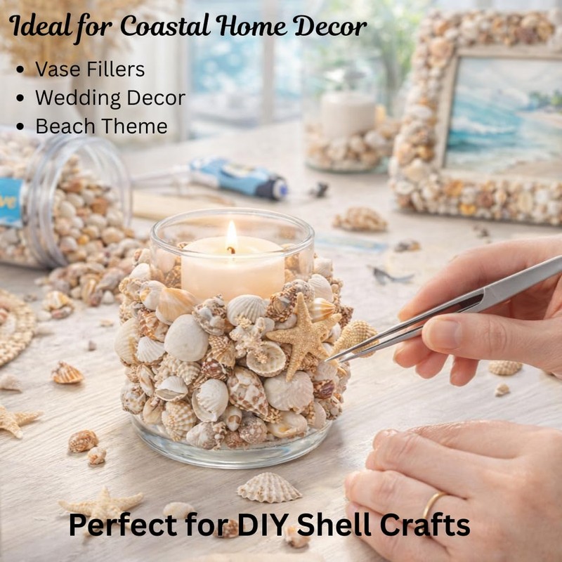 Baiinjiene 1300 PCS Small Seashells for Crafts, Tiny Mixed Sea