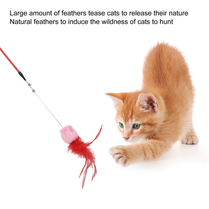 5pcs Funny Cat Stick Ergonomic Interactive Cat Feather Toy with