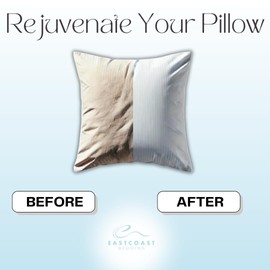 East Coast Bedding | 100% Cotton Replacement Pillow Shell | DIY Pillow Casing | Empty Pillow Cover for Custom Filling | Sew-to Close Design | 250TC, Throw Pillow 20x20 inch, Solid White