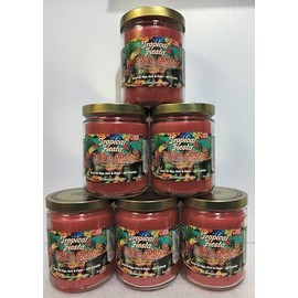 Smoke Odor Exterminator 13oz Jar Candle, Tropical Fiesta 6 Pack.
