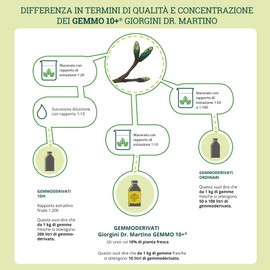 Dr Giorgini Integratore Alimentare, Lampone Gemmoderivato Concentrato Liquido Analcoolico - 100 ml