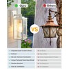 VIANIS 2 Pack White Dusk to Dawn Outdoor Wall Lantern,
