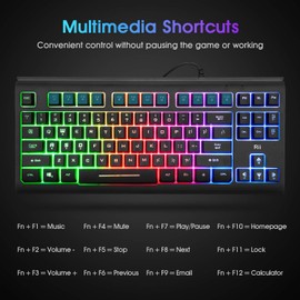 Rii Primer RGB Compact Gaming Office Keyboard RK104,Backlight Keyboard,Small 87 Keys No Number Pad Keyboard for Windows PC Laptop Desktop