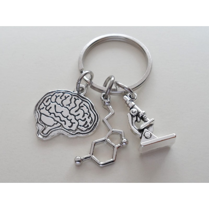 JewelryEveryday Psychologist Appreciation Keychain with Brain Charm, Serotonin Molecule &