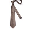 DiBanGu Plaid Ties for Men Silk Checkered Necktie and Pocket