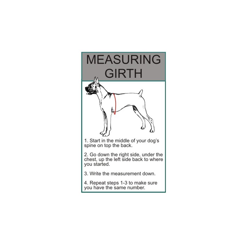 Doggie Stylz Blind Dog Harness No Pull No Escape Dog