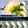 KIRKAS 10X Magnifying Glass with Light and Stand, 2-in-1 Any