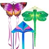 3 Pack Large Kites - Butterfly Delta Dragonfly Kites Easy