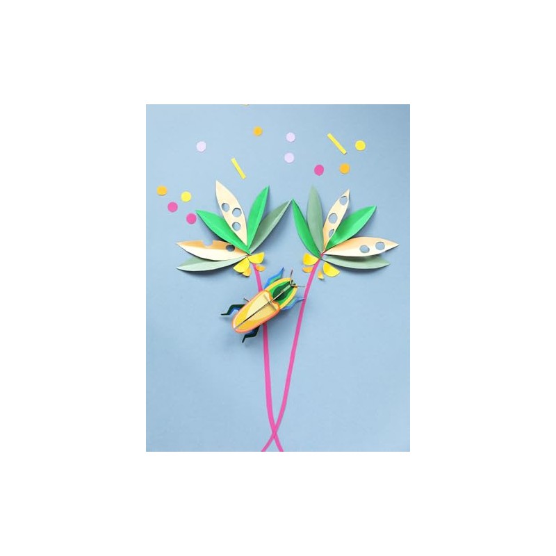 3D Madagascar Bette Strudio Roof Beetle