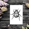 Dekolando Motif Stamp Dung Beetle – Beetle Stamp Wooden Stamp