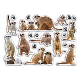 A5 Sticker Sheet Meerkat Vinyl Stickers - Mongoose Wildlife Animals Scrapbooking Travel Decoration Label Friend Girls Boys Aesthetic #80791