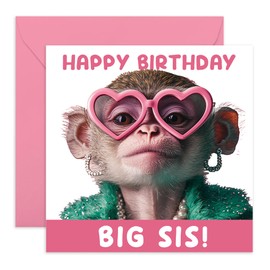 Central 23 Big Sister Birthday Card Funny - Big Sis Monkey - Monkey Birthday Cards For Older Sister - Hilarious Gifts For Her Women - Comes With Cute Stickers