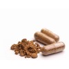 JKR Spices Pack of 210 Cumin Capsules - Vegan Capsules