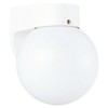 Sea Gull Lighting 8753-15 Light Fixture, White