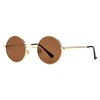 Gleyemor John Lennon Glasses Polarized Small Round Sunglasses for Men