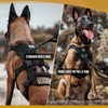 OneTigris Escape Proof Dog Harness, No Pull Dog Harness with