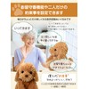 Adult-oriented Voice Recognition Plush Toy 【Talking Toy Poodle】 Easy to