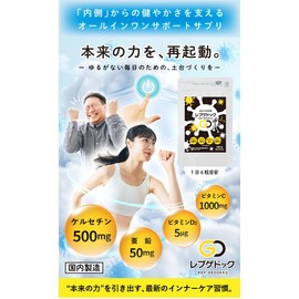 レプゲドック（180粒入）ケルセチン500mg 配合 サプリ 亜鉛 ビタミンC ビタミンD3 オールインワン 健康維持 国内製