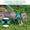 Cat Harness for Walking Escape Proof 2 Pack, Lightweight Kitten