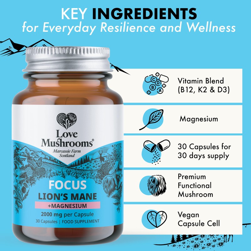 Love Mushrooms – Lion’s Mane Plus Magnesium Capsules | Cognitive