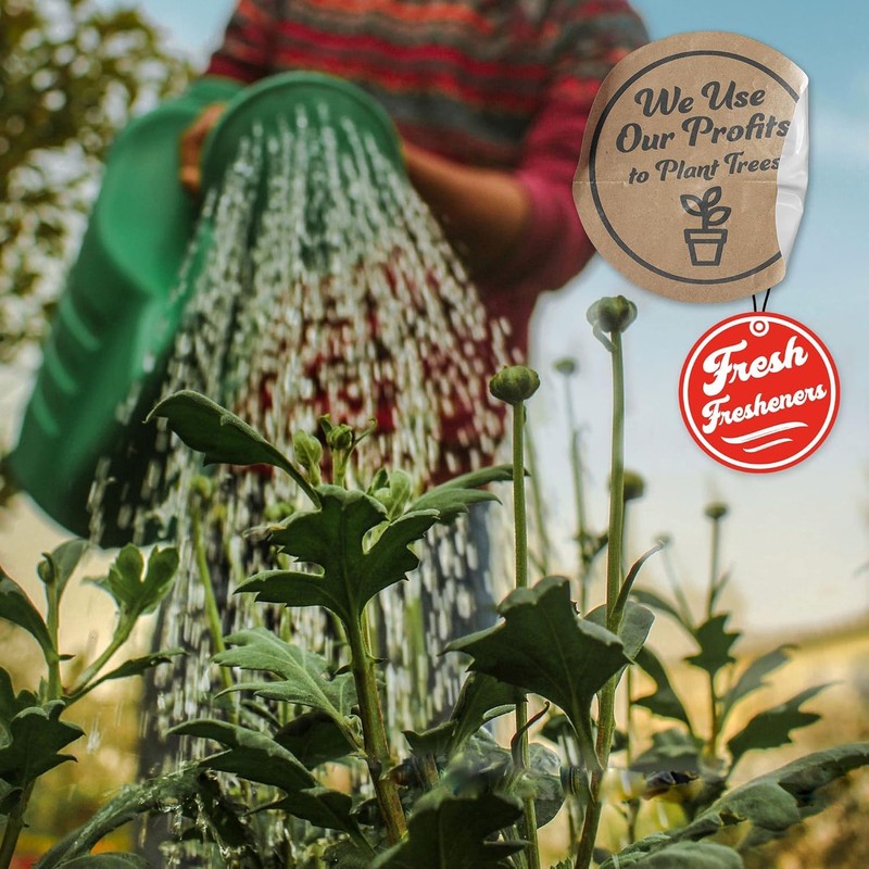 Fresh Fresheners Cute Funny and Aesthetic Car Air Fresheners 4-pack