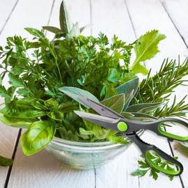 Nirosta 48133 Superschere mit Öffner Praktika 21cm in grau/grün/silber, Klinge: Edelstahl