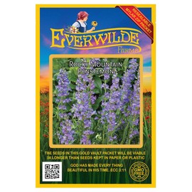 Everwilde Farms - 2000 Rocky Mountain Penstemon Native Wildflower Seeds - Gold Vault Jumbo Seed Packet