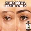 [100% natural] Eyebrow growth liquid whisker growth essence, Eyebrow Growth