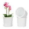 Meshpot 16cm Plastic Orchid Pots With Holes and Saucers -