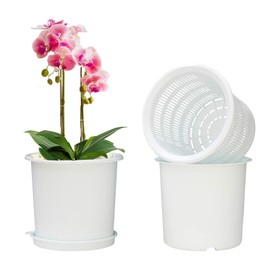Meshpot 16cm Plastic Orchid Pots With Holes and Saucers - 2 Inner Pot,2 Outer Pot,2 Saucer