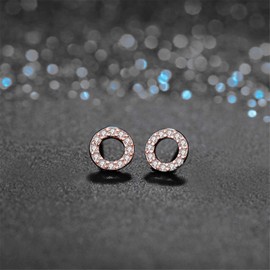 Aroncent Women's Earrings 925 Sterling Silver Stud Earrings Classic Circle Earrings with Zirconia, Sterling Silver Cubic Zirconia