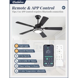 48 Inch Indoor Outdoor Large Ceiling Fans with Lights and Remote, Black