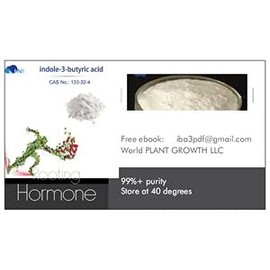 Indole-3-butyric acid 99% High Purity Powder 100g Tamper Sealed Bottle .#GH45843 3468-T34562FD45935
