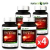 Liver Health Milk Thistle Silymarin Liver Nutrients 4 Bottles (Approximately