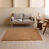 Solid Tan Shaggy Area Rugs for Living Room Bedroom 4x6