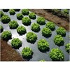 VBS - Poly Mulch Black Plastic Sheeting - Poly Mulch,