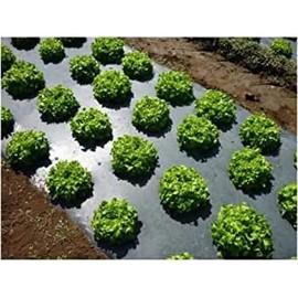 VBS - Poly Mulch Black Plastic Sheeting - Poly Mulch, Mulch, Black Plastic Sheeting, Poly Mulch Sheeting, Mulch, Poly Mulch, Black Plastic Sheeting, Black Poly Mulch (4 mil - 4' x 200')