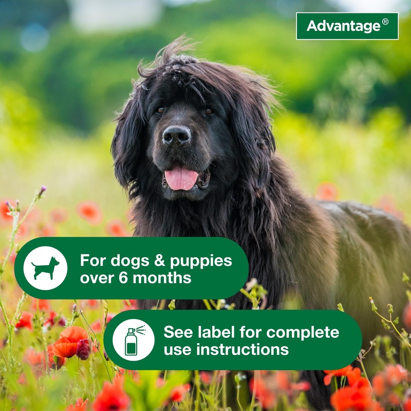 Advantage Dog Flea Treatment Spray | Kills Fleas & Ticks