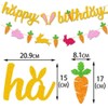 Easter Decorations Happy Easter Banner Carrot Bunting Photo Backdrop for