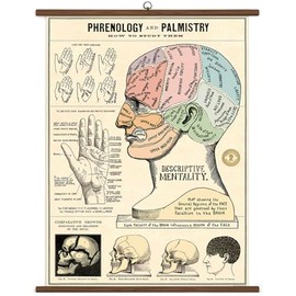 Cavallini & Co. Phrenology & Palmistry Vintage School Chart