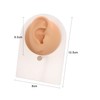 Vogem Piercing Practice Model Fake Ear Shape for Jewelry Display