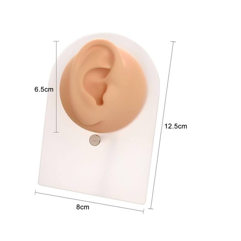 Vogem Piercing Practice Model Fake Ear Shape for Jewelry Display