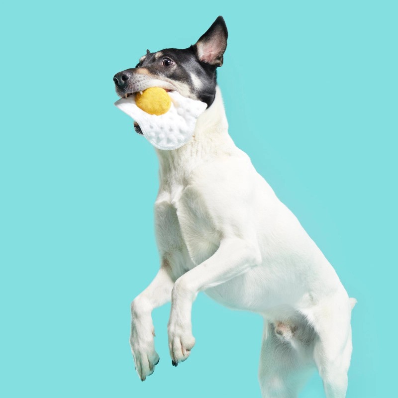 BARK Puppy Side Up Egg Dog Toy With Squeaker For