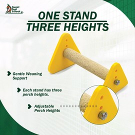 Sweet Feet and Beak Portable Bird Perch Stand for Small Birds to Keep Nails and Beaks in Top Condition - Safe, Non-Toxic, Easy to Install Cage Accessories