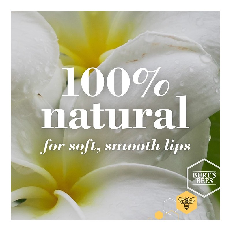 Burt's Bees Lipbalm Stick