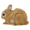 Figuren Shop GmbH Garden Rabbit Figurine - Weatherproof & Hand-Painted