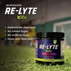 REDMOND Re-Lyte Kids Hydration Electrolyte Mix Powder, Grape 7.62 oz
