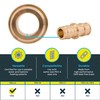 SharkBite 1/2 Inch Expansion Coupling for PEX-A Pipe, Brass Plumbing